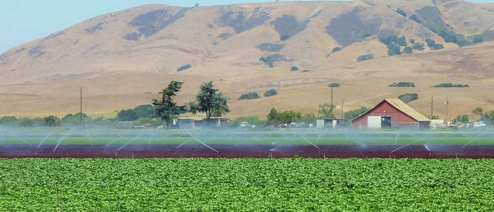 California state agriculture sector called for a collaborative approach to transforming pest management