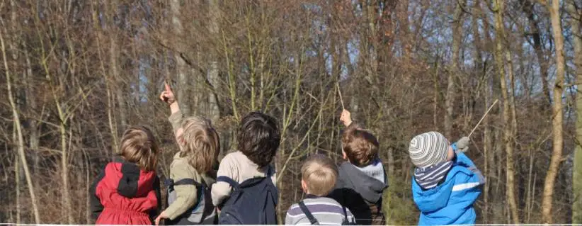 children pointing upwards infront of trees